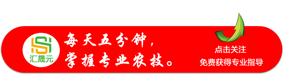 常用的树苗嫁接方法(树苗嫁接方法)