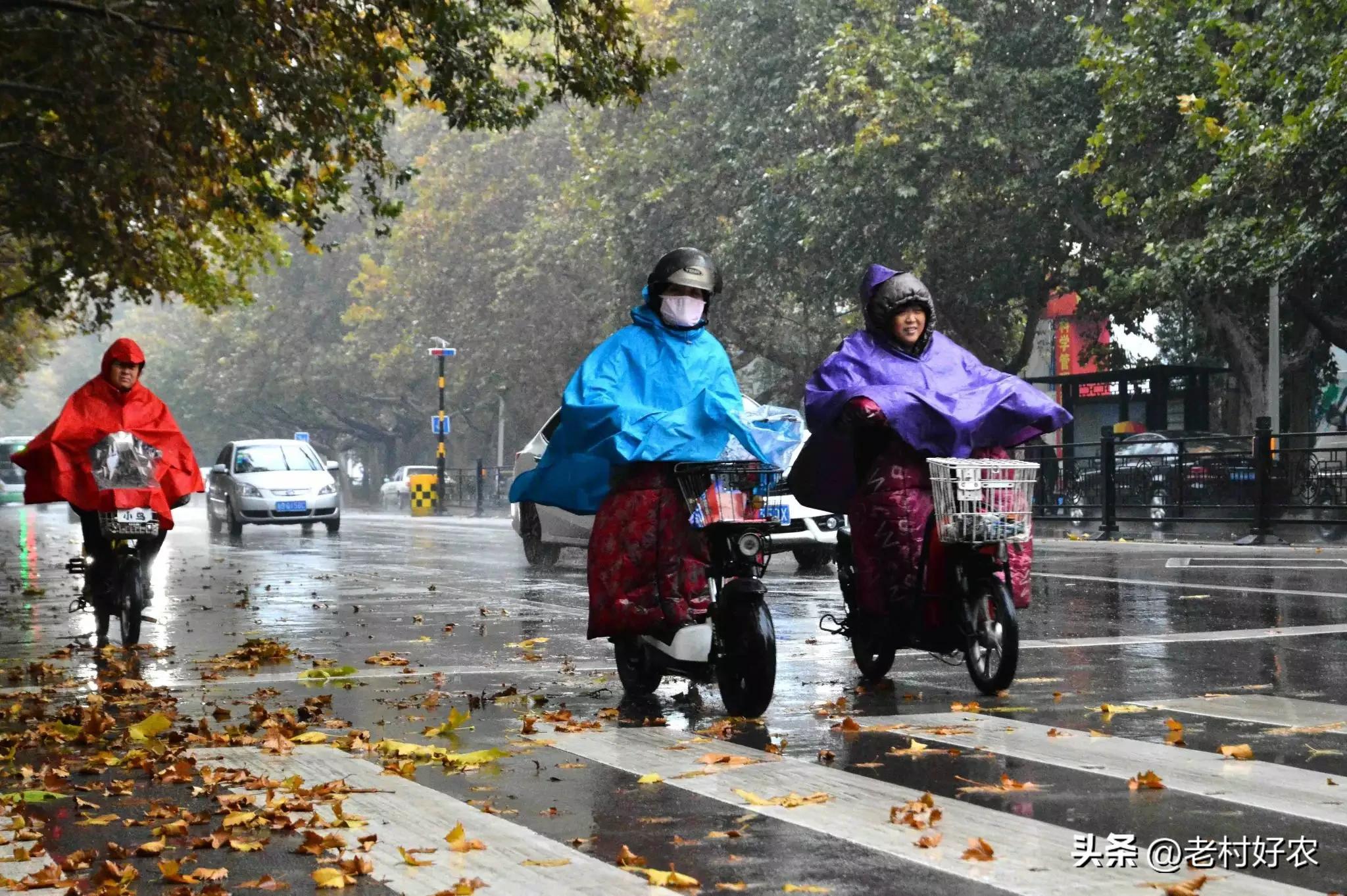 天气预报：明日立秋，暴雨大雨中心已确认，今年是冷秋？农谚咋说