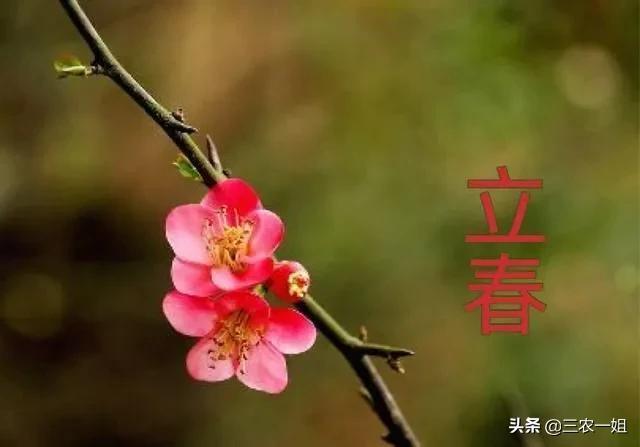 立春为什么不能在床上(立春为什么不能在床上躺着)