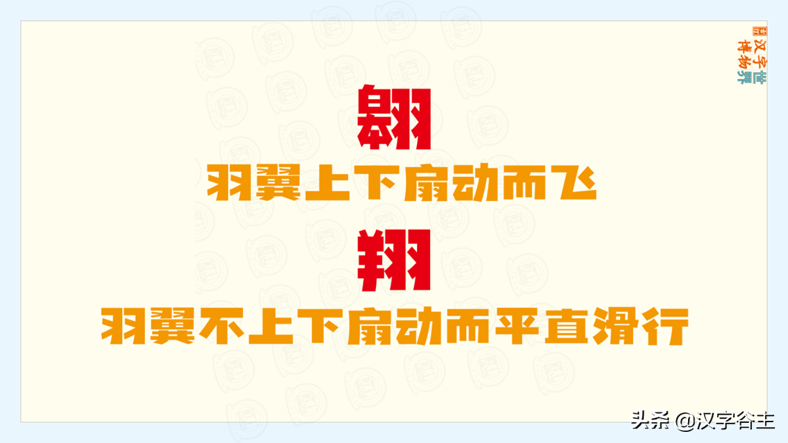 翊是什么意思(苏翊鸣的“翊”字是什么意思？)