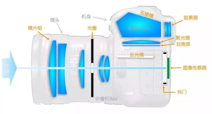 什么是单反数码相机(数码相机单反是什么意思)