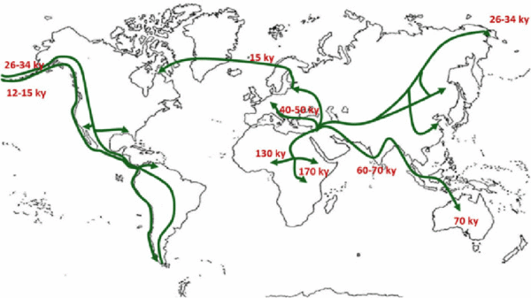 什么是澳大利亚人种(澳大利亚有什么人种)