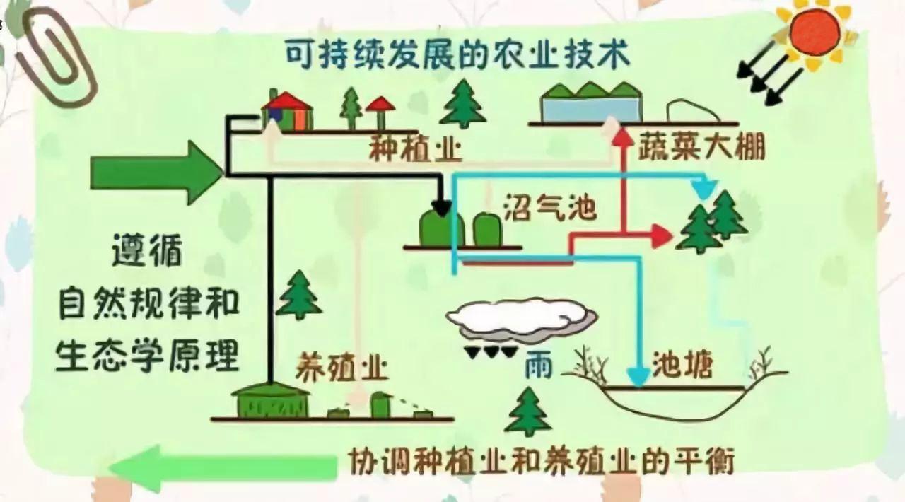 有机食品是什么意思（有机食品是什么意思网络用语）