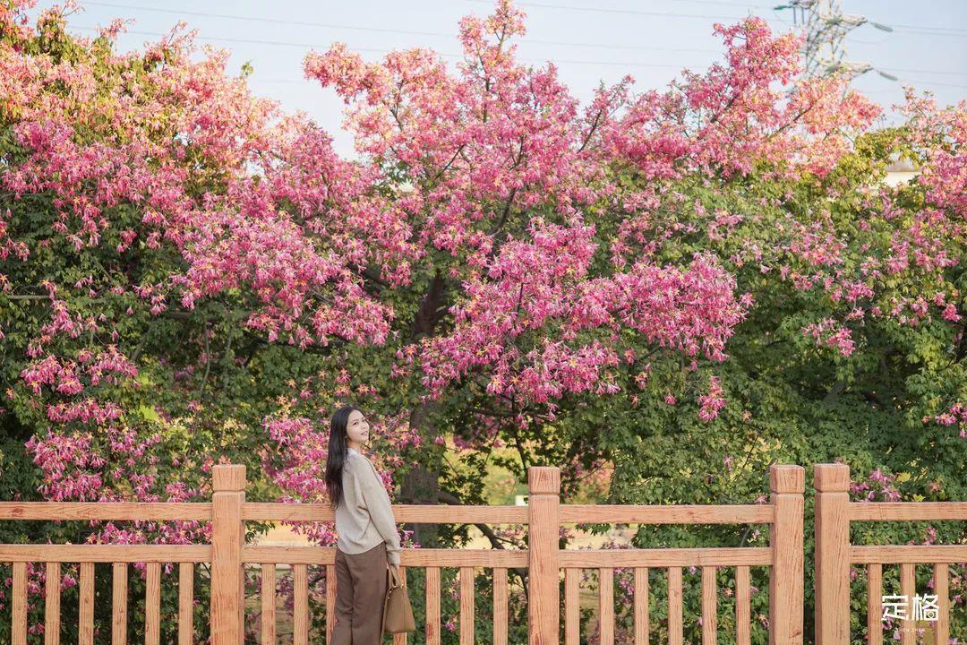 深圳哪里好玩（深圳必须去的50个地方）