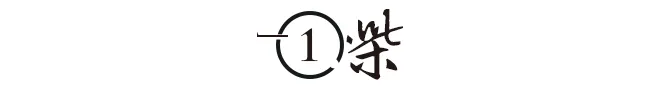 2008年，北大女生赴美深造，9年后跳桥自杀，调查结果令人愤慨