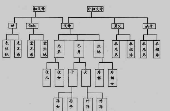 隐性基因和显性基因的区别（隐性基因和显性基因的区别和联系）