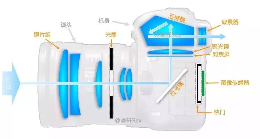 什么是单反数码相机(数码相机单反是什么意思)