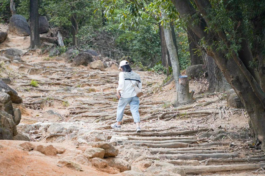 深圳哪里好玩（深圳必须去的50个地方）