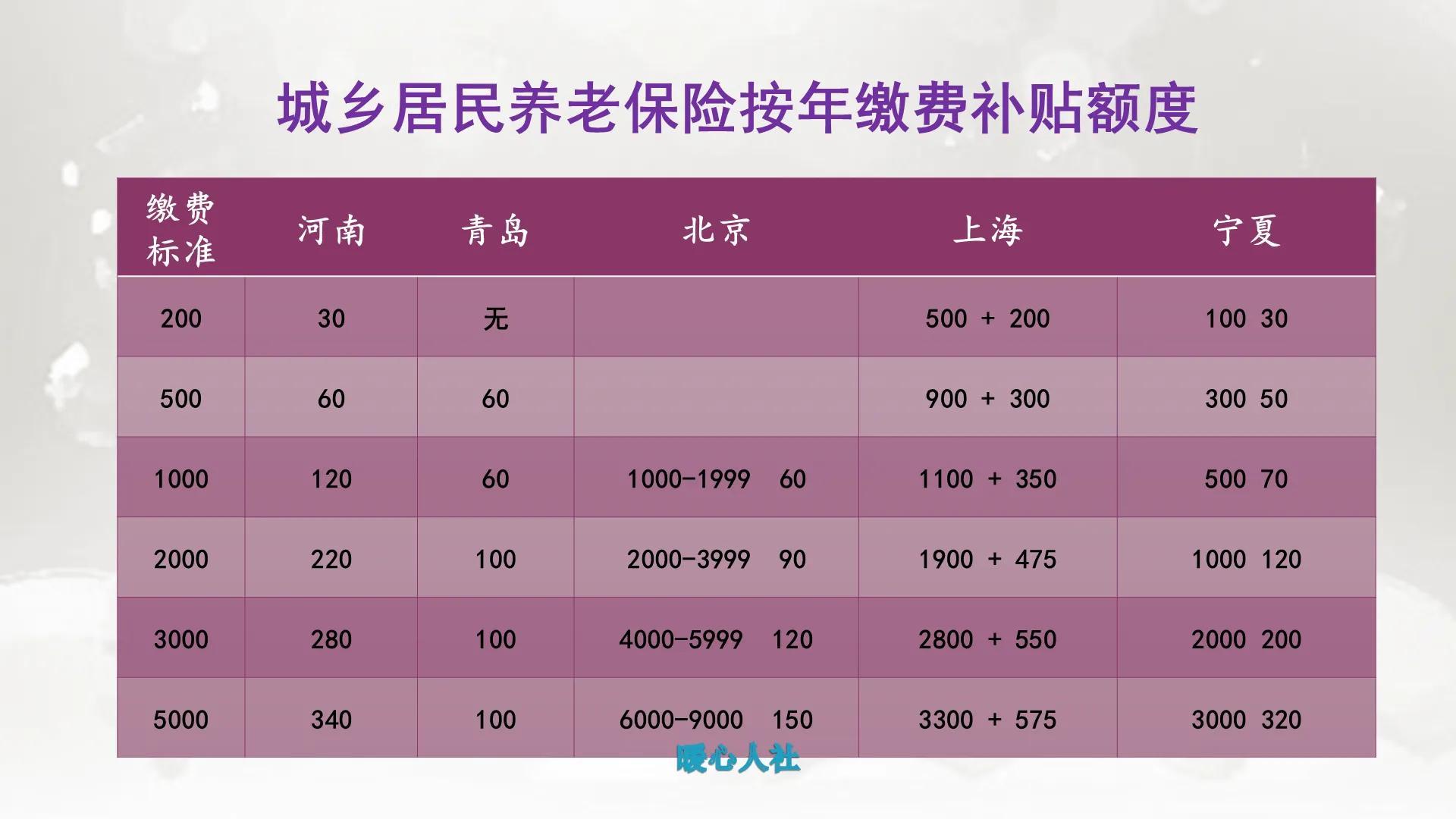 以100元档次入的农村养老保险