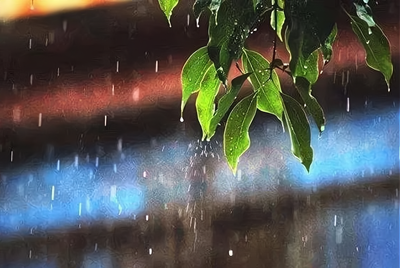 今日入伏，入伏当天下雨有啥预兆？晴天有啥说法？看看农谚就知道