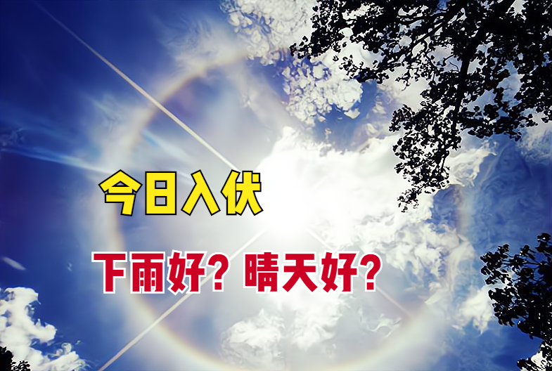 今日入伏，入伏当天下雨有啥预兆？晴天有啥说法？看看农谚就知道